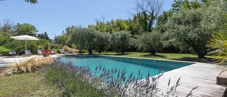 Piscine   coté lavandes 11mx6  sécurisée 
avec volet flottant    