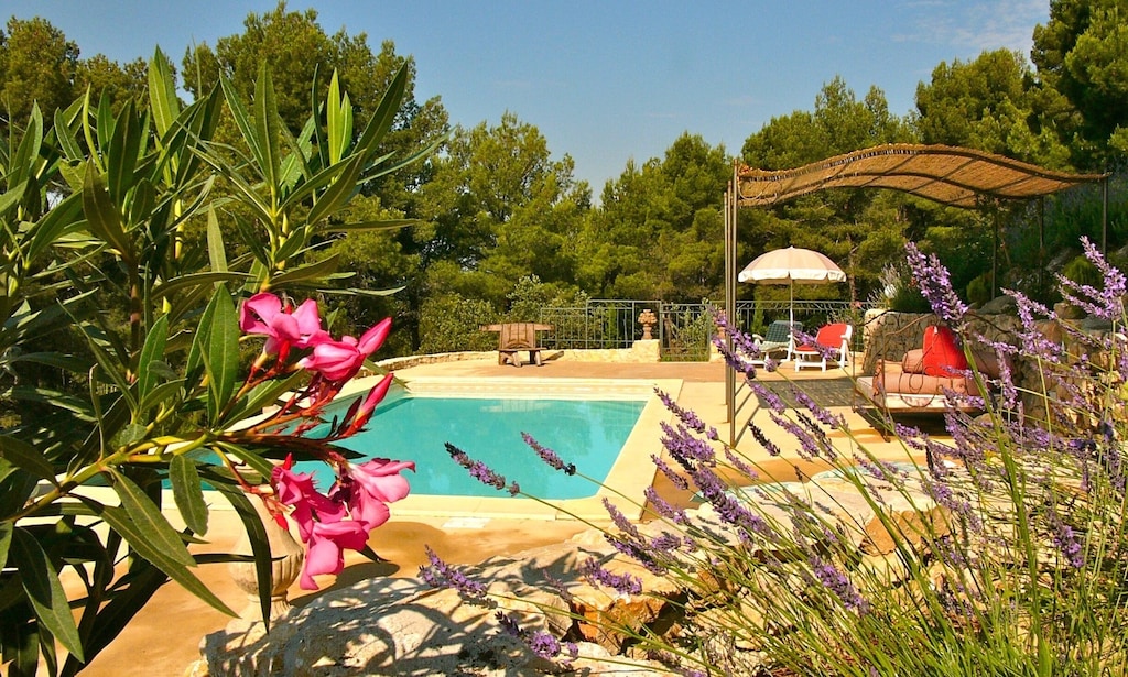 Picture of villa