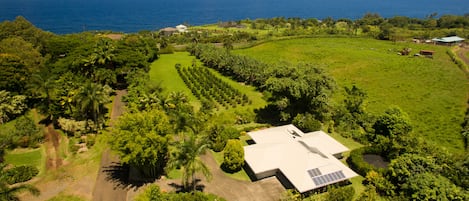 Your vacation home with Pacific Ocean view is next to the Botanical World Garden