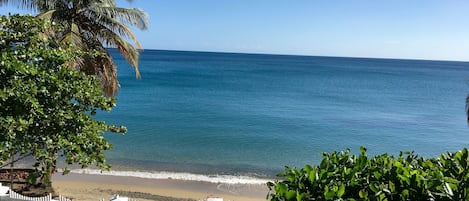 An extension of the back yard... Beach Bliss :)