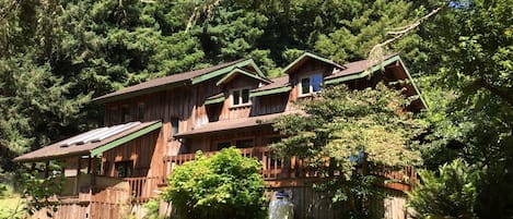 The back of Haven in the Redwoods