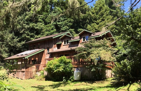 The back of Haven in the Redwoods