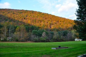 Backyard in Autumn 