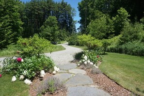View of front walk and driveway