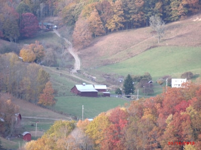 ~~Cozy Cottage~~Minutes From Parkway, Waterfalls & Ski Resort *Fire Pit *WiFi~~