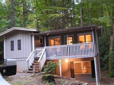 ~~Cozy Cottage~~Minutes From Parkway, Waterfalls & Ski Resort *Fire Pit *WiFi~~