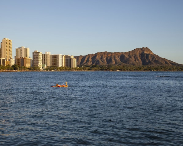 Come feel the Aloha! Hike Diamond Head then jump in the ocean & soak up the sun!