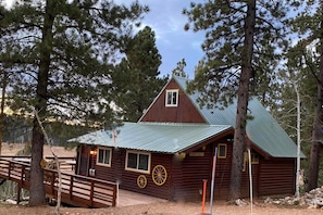 THAT Cabin!  Sit back, relax, and enjoy the view! 