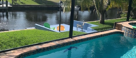 Boat dock and coconut tree