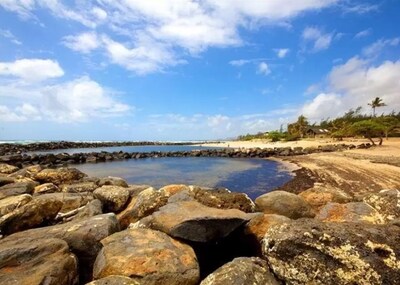 ALOHA ☆ Authentic Hawaiian 'Plantation Style' Condo C-7☆