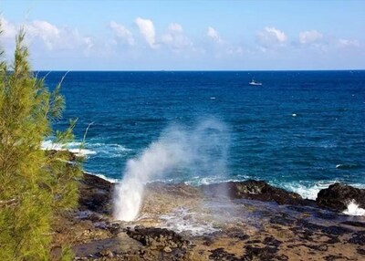 ALOHA ☆ Authentic Hawaiian 'Plantation Style' Condo C-7☆