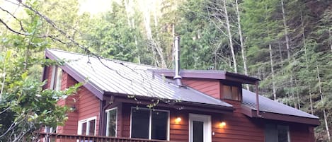 Enchanted Forest Cabin under morning sunshine 