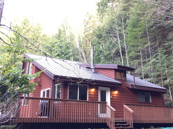 Enchanted Forest Cabin under morning sunshine 