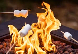 Fall is Here! Come Enjoy S'mores and Family Fun Around the Gas Fire Pit.