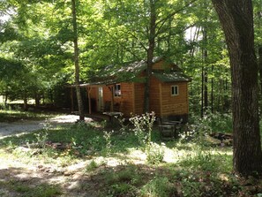 Approaching the cabin from White Oak Rd