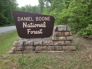 Daniel Boone National Forest, some of the most beautiful country in the US!