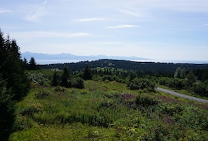 View off the back deck