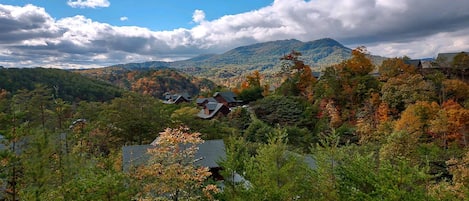 Fall view from the cabin.