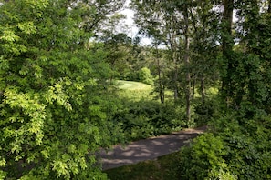 View of golf cart path.