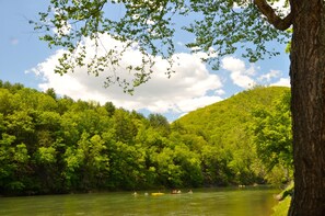 View of Creek from the Main Deck. 