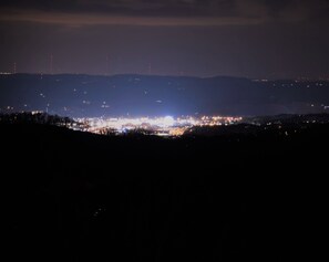 Enlarged Pigeon Forge at Night