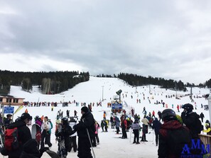 Skidåkning och snöaktiviteter