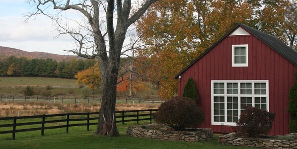 The Cottage