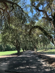 Romantic  Condo,  Gated Pawley’s Plantation.  Professionally cleaned every time!