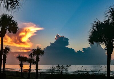 Romantic  Condo,  Gated Pawley’s Plantation.  Professionally cleaned every time!