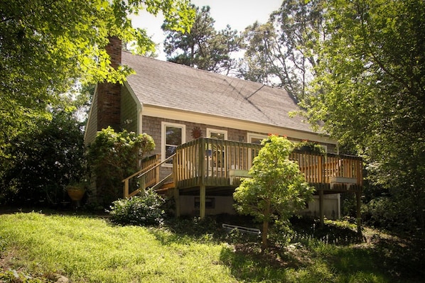 Backyard view of house and patio.