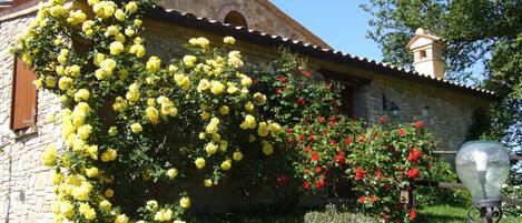 Jardines del alojamiento