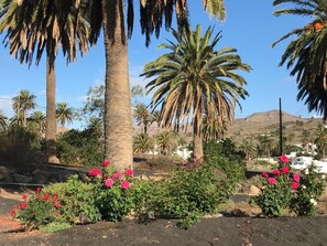 The Rose Garden