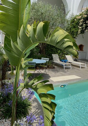 jardin et piscine privée