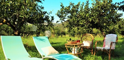 House "Al vico dei lemons" between the countryside and the sea