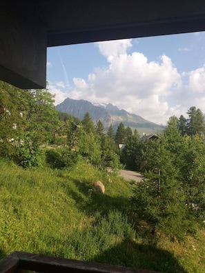 View from property