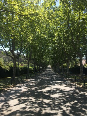 Boendeområde
