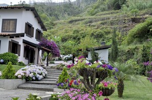House - Gardens