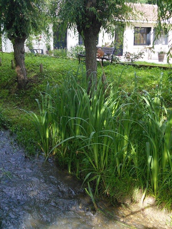 Boendeområde