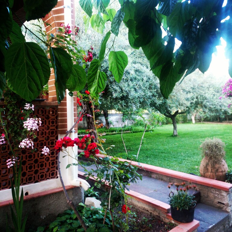 Picture of villa