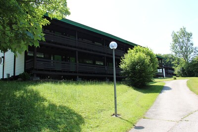 Acogedor apartamento entre Chiemsee y Salzburgo, Tirol. Los perros son bienvenidos