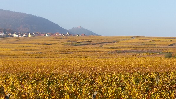 Oklassificerad bild, 1 av 28, knapp