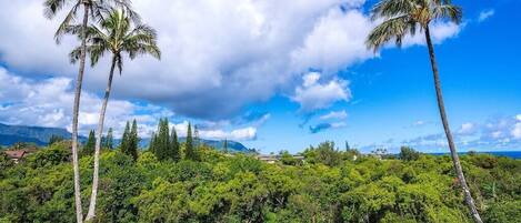 The 180* View of Mountains, Waterfalls, Jungle Valley & Distant Ocean Views