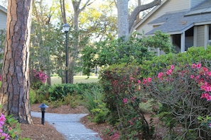 Court Yard and entrance to villa