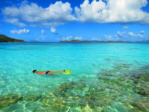 Best snorkeling on St. Thomas is right on Sapphire Beach