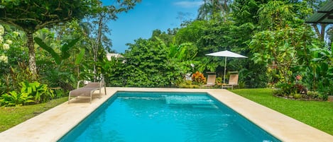 Our pool surrounded by jungle and gardens. 