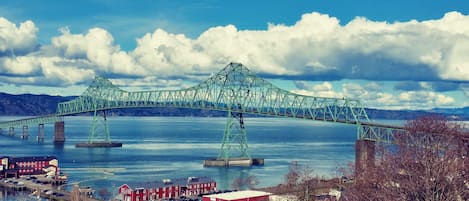 Spectacular view with regular river traffic of ships  and views to the mouth of 