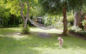 Our dog Che and the hammock in the backyard.  A great place to relax!