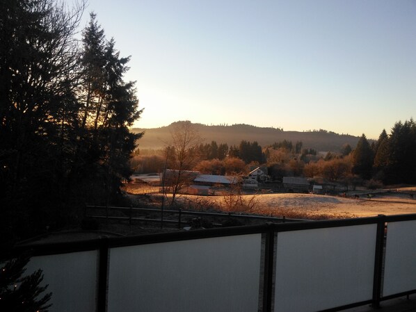 Backyard View