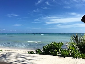 View of the Bay and paddleboarders