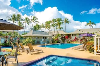 Romance & Luxury in Paradise ~ Newly Appointed